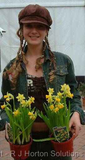 Daffodil Tete a Tete_2 